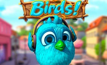 Birds